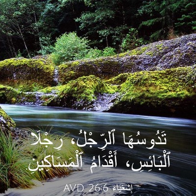 Picture 03 - إِشَعْيَاءَ 26:6 AVD - تَدُوسُهَا ٱلرِّجْلُ، - Bible Verse Picture