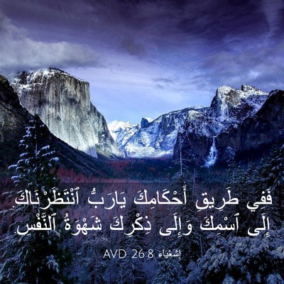 Picture 03 - إِشَعْيَاءَ 26:8 AVD - فَفِي طَرِيقِ أَحْكَامِكَ - Bible Verse Picture