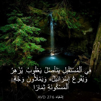 Picture 03 - إِشَعْيَاءَ 27:6 AVD - فِي ٱلْمُسْتَقْبِلِ - Bible Verse Picture