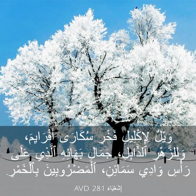 Picture 03 - إِشَعْيَاءَ 28:1 AVD - وَيْلٌ لِإِكْلِيلِ فَخْرِ - Bible Verse Picture