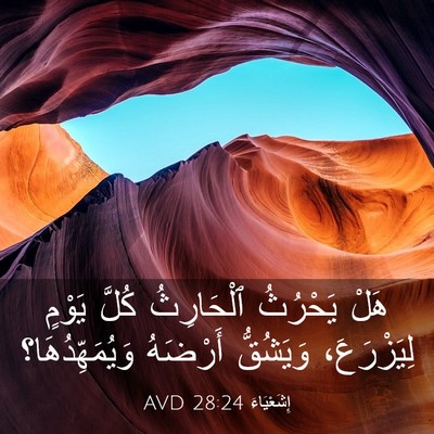 Picture 03 - إِشَعْيَاءَ 28:24 AVD - هَلْ يَحْرُثُ ٱلْحَارِثُ - Bible Verse Picture