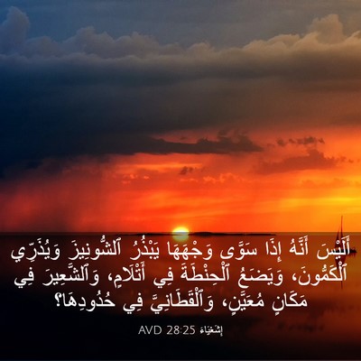 Picture 03 - إِشَعْيَاءَ 28:25 AVD - أَلَيْسَ أَنَّهُ إِذَا - Bible Verse Picture