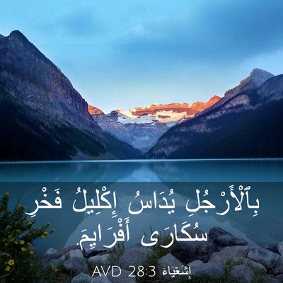 Picture 03 - إِشَعْيَاءَ 28:3 AVD - بِٱلْأَرْجُلِ يُدَاسُ - Bible Verse Picture
