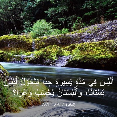 Picture 03 - إِشَعْيَاءَ 29:17 AVD - أَلَيْسَ فِي مُدَّةٍ - Bible Verse Picture