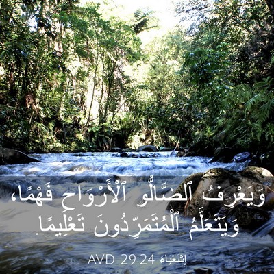 Picture 03 - إِشَعْيَاءَ 29:24 AVD - وَيَعْرِفُ ٱلضَّالُّو - Bible Verse Picture