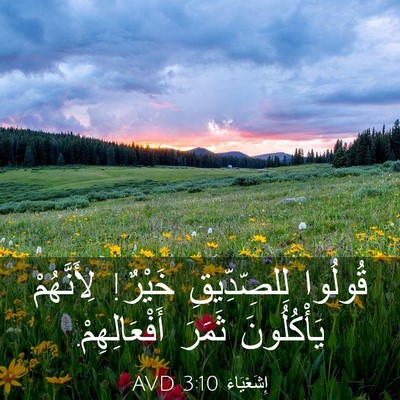 Picture 03 - إِشَعْيَاءَ 3:10 AVD - قُولُوا لِلصِّدِّيقِ - Bible Verse Picture