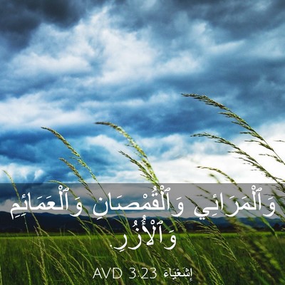 Picture 03 - إِشَعْيَاءَ 3:23 AVD - وَٱلْمَرَائِي - Bible Verse Picture