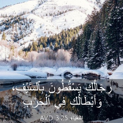 Picture 03 - إِشَعْيَاءَ 3:25 AVD - رِجَالُكِ يَسْقُطُونَ - Bible Verse Picture