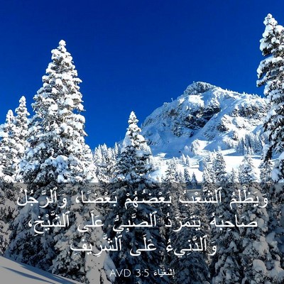 Picture 03 - إِشَعْيَاءَ 3:5 AVD - وَيَظْلِمُ ٱلشَّعْبُ - Bible Verse Picture