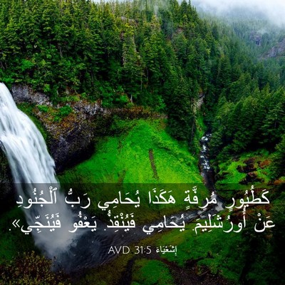Picture 03 - إِشَعْيَاءَ 31:5 AVD - كَطُيُورٍ مُرِفَّةٍ - Bible Verse Picture