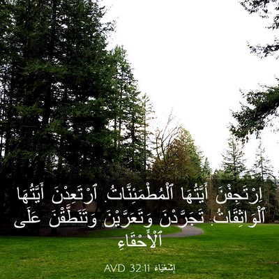 Picture 03 - إِشَعْيَاءَ 32:11 AVD - اِرْتَجِفْنَ أَيَّتُهَا - Bible Verse Picture