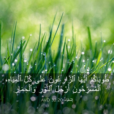 Picture 03 - إِشَعْيَاءَ 32:20 AVD - طُوبَاكُمْ أَيُّهَا - Bible Verse Picture