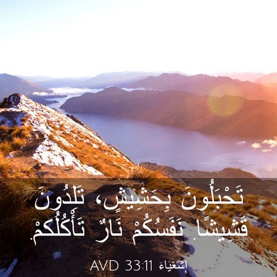 Picture 03 - إِشَعْيَاءَ 33:11 AVD - تَحْبَلُونَ بِحَشِيشٍ، - Bible Verse Picture
