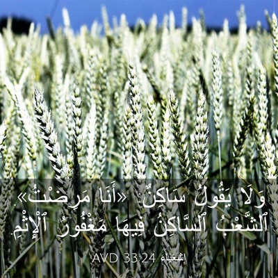 Picture 03 - إِشَعْيَاءَ 33:24 AVD - وَلَا يَقُولُ سَاكِنٌ: - Bible Verse Picture
