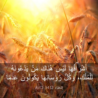 Picture 03 - إِشَعْيَاءَ 34:12 AVD - أَشْرَافُهَا لَيْسَ - Bible Verse Picture