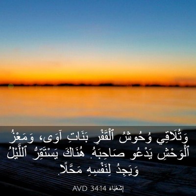 Picture 03 - إِشَعْيَاءَ 34:14 AVD - وَتُلَاقِي وُحُوشُ - Bible Verse Picture