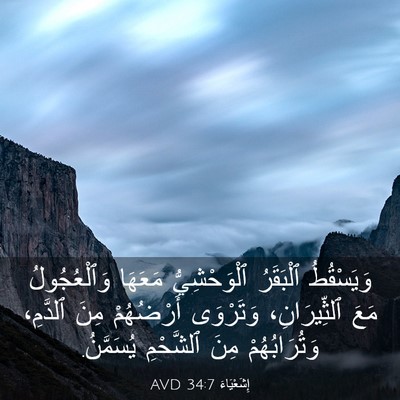 Picture 03 - إِشَعْيَاءَ 34:7 AVD - وَيَسْقُطُ ٱلْبَقَرُ - Bible Verse Picture