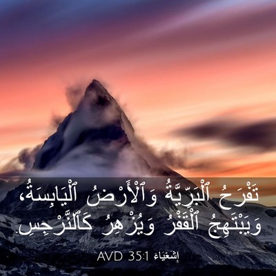 Picture 03 - إِشَعْيَاءَ 35:1 AVD - تَفْرَحُ ٱلْبَرِّيَّةُ - Bible Verse Picture