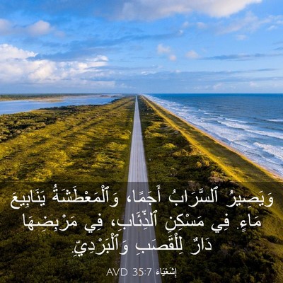 Picture 03 - إِشَعْيَاءَ 35:7 AVD - وَيَصِيرُ ٱلسَّرَابُ - Bible Verse Picture