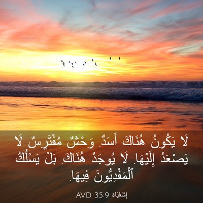 Picture 03 - إِشَعْيَاءَ 35:9 AVD - لَا يَكُونُ هُنَاكَ - Bible Verse Picture