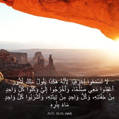 Picture 03 - إِشَعْيَاءَ 36:16 AVD - لَا تَسْمَعُوا - Bible Verse Picture