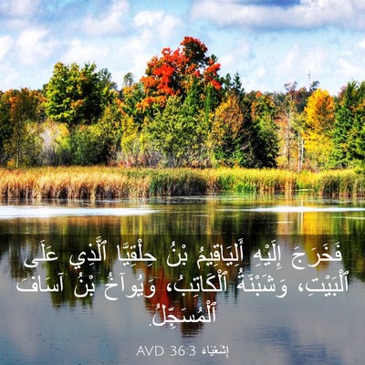 Picture 03 - إِشَعْيَاءَ 36:3 AVD - فَخَرَجَ إِلَيْهِ - Bible Verse Picture