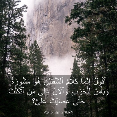 Picture 03 - إِشَعْيَاءَ 36:5 AVD - أَقُولُ إِنَّمَا كَلَامُ - Bible Verse Picture