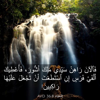 Picture 03 - إِشَعْيَاءَ 36:8 AVD - فَٱلْآنَ رَاهِنْ سَيِّدِي - Bible Verse Picture
