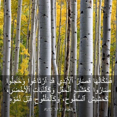 Picture 03 - إِشَعْيَاءَ 37:27 AVD - فَسُكَّانُهَا قِصَارُ - Bible Verse Picture