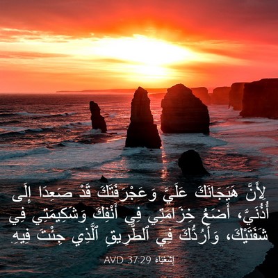 Picture 03 - إِشَعْيَاءَ 37:29 AVD - لِأَنَّ هَيَجَانَكَ - Bible Verse Picture