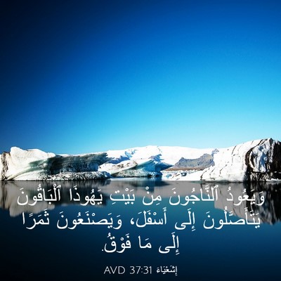 Picture 03 - إِشَعْيَاءَ 37:31 AVD - وَيَعُودُ ٱلنَّاجُونَ - Bible Verse Picture