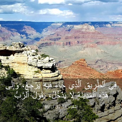 Picture 03 - إِشَعْيَاءَ 37:34 AVD - فِي ٱلطَّرِيقِ ٱلَّذِي - Bible Verse Picture