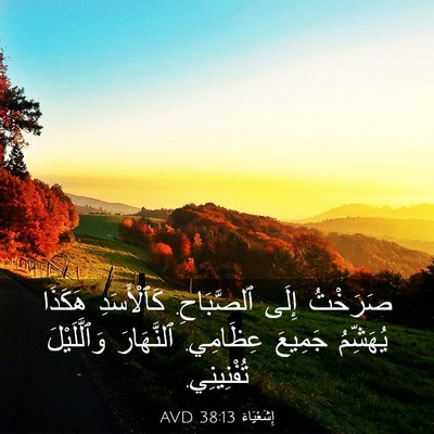 Picture 03 - إِشَعْيَاءَ 38:13 AVD - صَرَخْتُ إِلَى ٱلصَّبَاحِ. - Bible Verse Picture