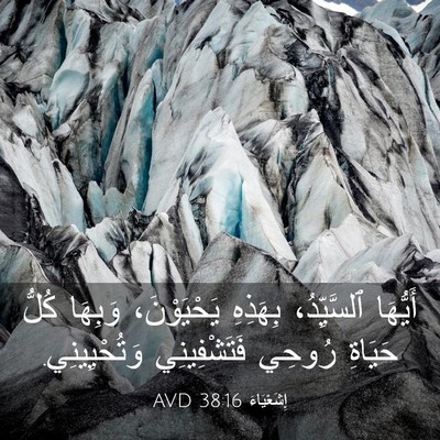 Picture 03 - إِشَعْيَاءَ 38:16 AVD - أَيُّهَا ٱلسَّيِّدُ، - Bible Verse Picture