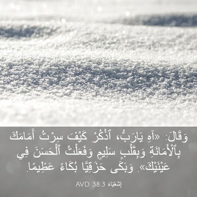 Picture 03 - إِشَعْيَاءَ 38:3 AVD - وَقَالَ: «آهِ يَارَبُّ، - Bible Verse Picture