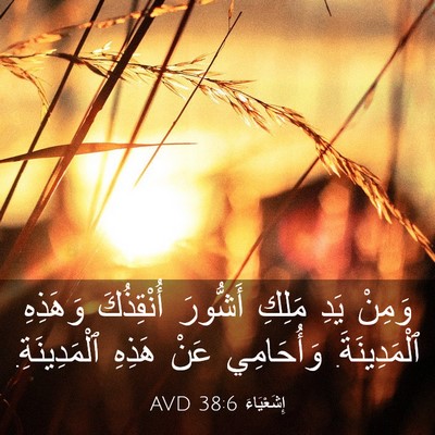 Picture 03 - إِشَعْيَاءَ 38:6 AVD - وَمِنْ يَدِ مَلِكِ - Bible Verse Picture