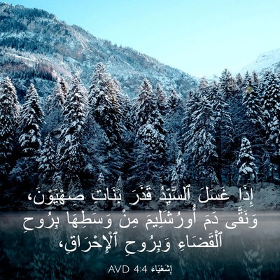 Picture 03 - إِشَعْيَاءَ 4:4 AVD - إِذَا غَسَلَ ٱلسَّيِّدُ - Bible Verse Picture