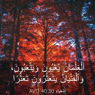 Picture 03 - إِشَعْيَاءَ 40:30 AVD - اَلْغِلْمَانُ يُعْيُونَ - Bible Verse Picture