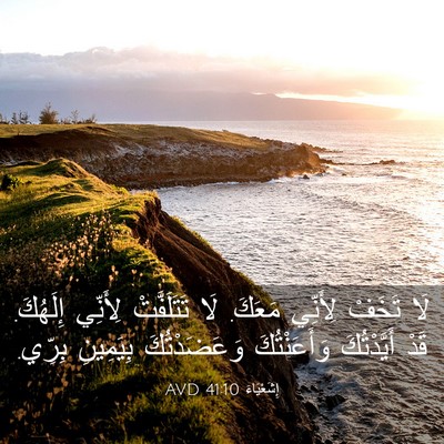 Picture 03 - إِشَعْيَاءَ 41:10 AVD - لَا تَخَفْ لِأَنِّي - Bible Verse Picture