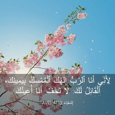 Picture 03 - إِشَعْيَاءَ 41:13 AVD - لِأَنِّي أَنَا ٱلرَّبُّ - Bible Verse Picture