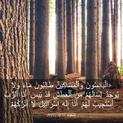 Picture 03 - إِشَعْيَاءَ 41:17 AVD - «اَلْبَائِسُونَ - Bible Verse Picture