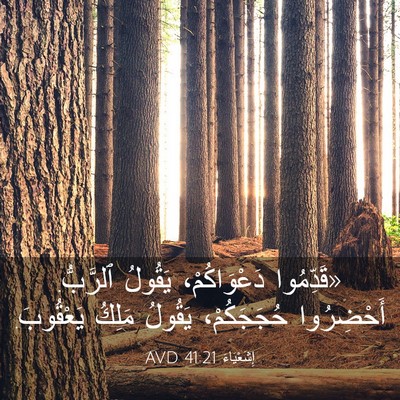 Picture 03 - إِشَعْيَاءَ 41:21 AVD - «قَدِّمُوا دَعْوَاكُمْ، - Bible Verse Picture