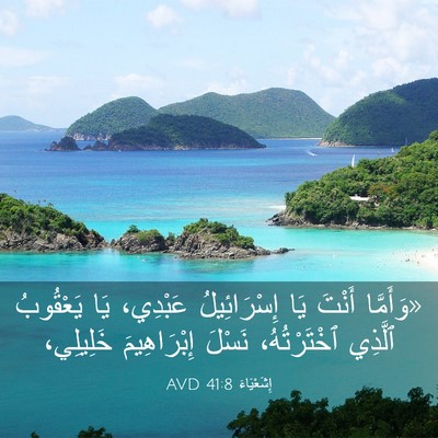 Picture 03 - إِشَعْيَاءَ 41:8 AVD - «وَأَمَّا أَنْتَ يَا - Bible Verse Picture