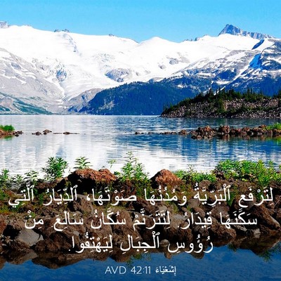 Picture 03 - إِشَعْيَاءَ 42:11 AVD - لِتَرْفَعِ ٱلْبَرِّيَّةُ - Bible Verse Picture