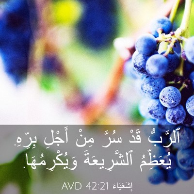 Picture 03 - إِشَعْيَاءَ 42:21 AVD - ٱلرَّبُّ قَدْ سُرَّ مِنْ - Bible Verse Picture