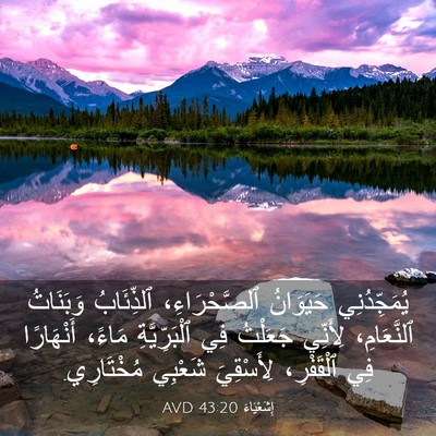 Picture 03 - إِشَعْيَاءَ 43:20 AVD - يُمَجِّدُنِي حَيَوَانُ - Bible Verse Picture