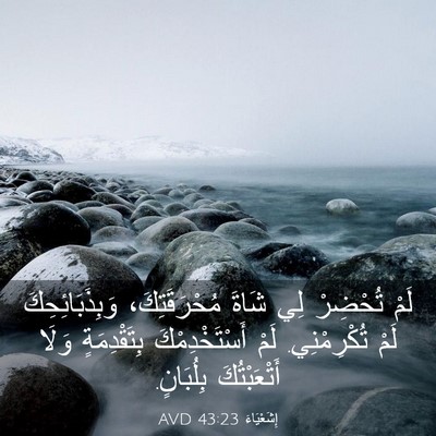 Picture 03 - إِشَعْيَاءَ 43:23 AVD - لَمْ تُحْضِرْ لِي شَاةَ - Bible Verse Picture