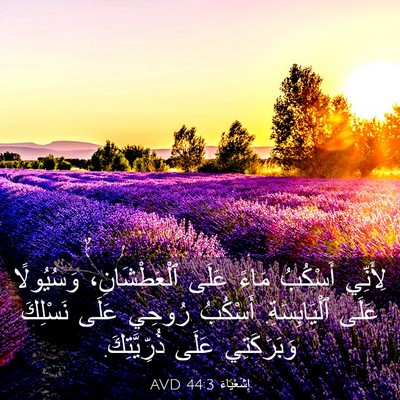 Picture 03 - إِشَعْيَاءَ 44:3 AVD - لِأَنِّي أَسْكُبُ مَاءً - Bible Verse Picture