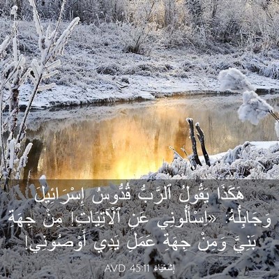 Picture 03 - إِشَعْيَاءَ 45:11 AVD - هَكَذَا يَقُولُ ٱلرَّبُّ - Bible Verse Picture