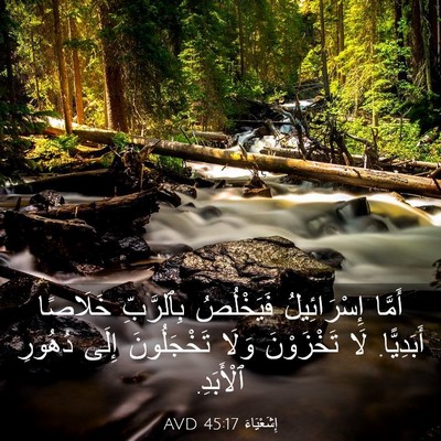 Picture 03 - إِشَعْيَاءَ 45:17 AVD - أَمَّا إِسْرَائِيلُ - Bible Verse Picture